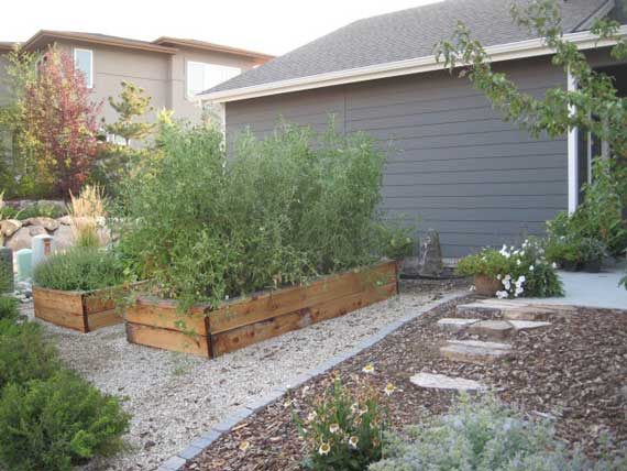 Garden Boxes