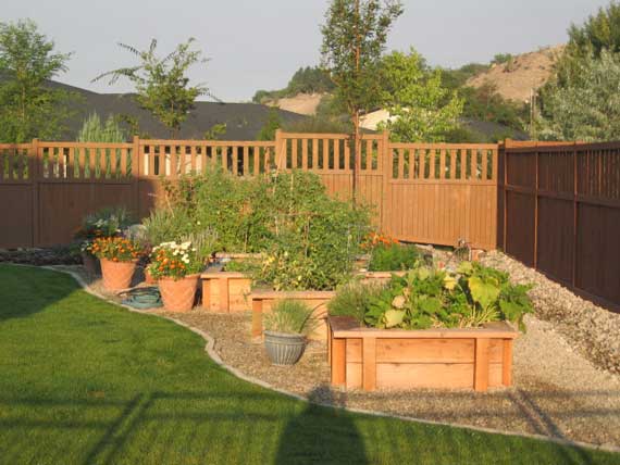 Garden Boxes