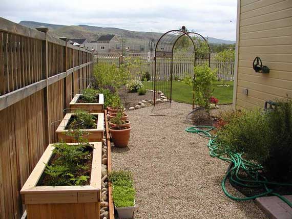 Garden Boxes