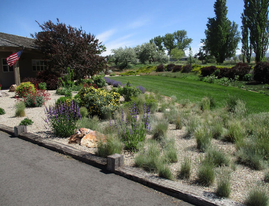 Xeric Landscaping