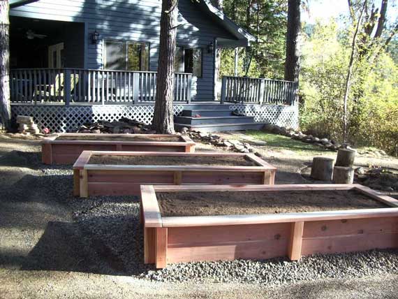 Garden Boxes