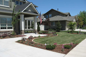 Traditional Landscaping
