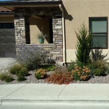 Curb Side Landscaping