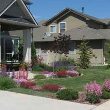 Curb Side Landscaping