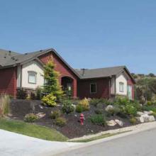 Curb Side Landscaping