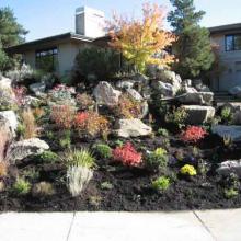 Curb Side Landscaping