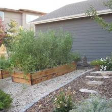 Garden Boxes