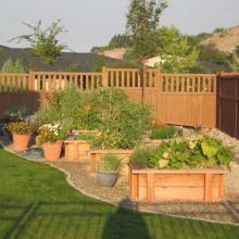 Garden Boxes