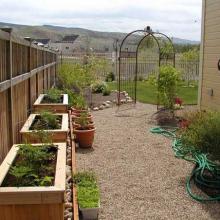 Garden Boxes