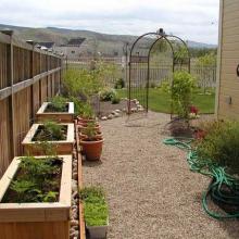 Garden Boxes