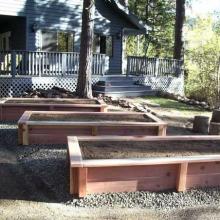 Garden Boxes